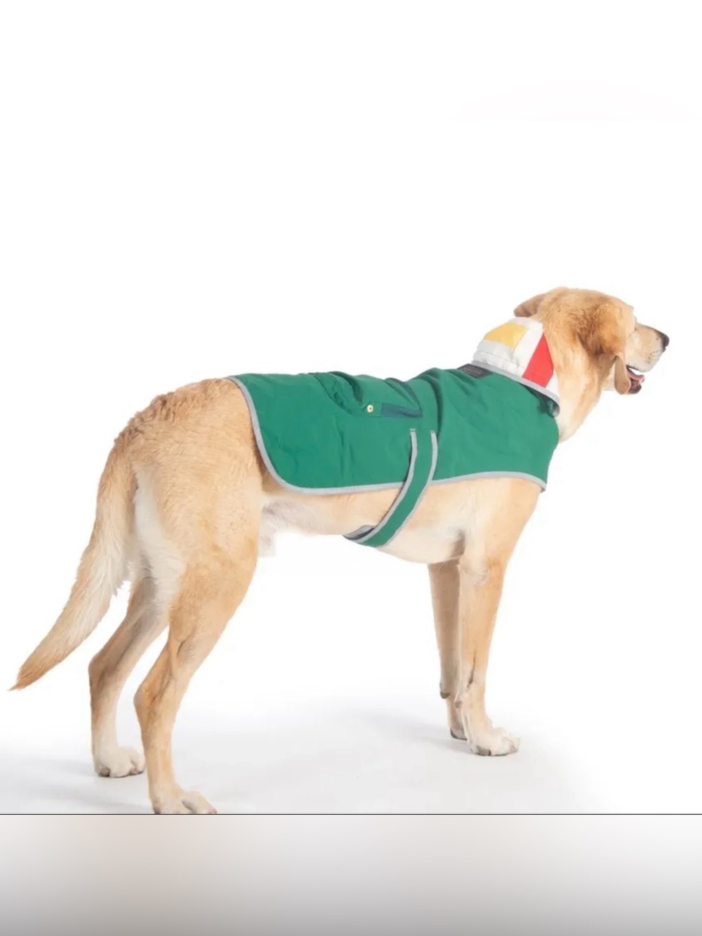 Green Pendleton Dog Raincoat